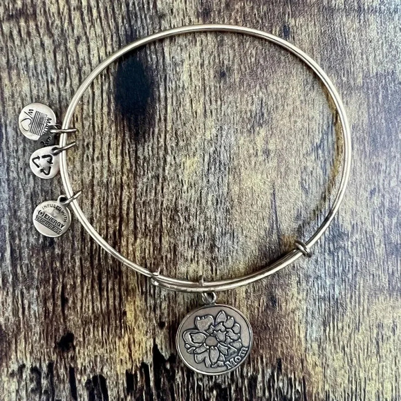 Alex and Ani | Mom, Expandable Rafaelian Bangle Bracelet. - Picture 3 of 9